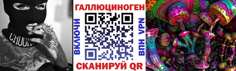 хочу   Руза  Псилоцибиновые грибы Psilocybe 
